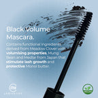 My Lamination Extreme Volume Mascara